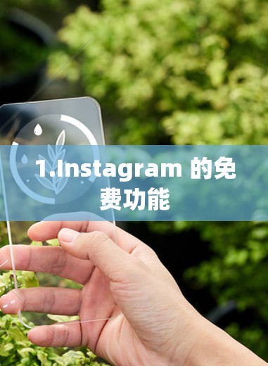 1.Instagram 的免费功能