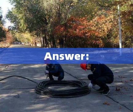 Answer: