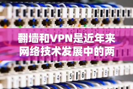 翻墙和VPN是近年来网络技术发展中的两个重要概念，它们在加密通信、远程访问和数据传输等方面发挥着重要作用。以下是对这两个概念的详细介绍