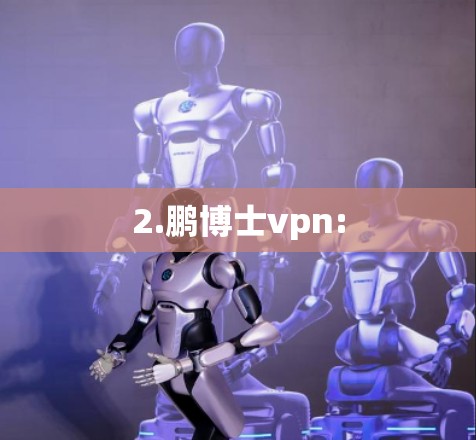 2.鹏博士vpn: 2.鹏博士vpn: