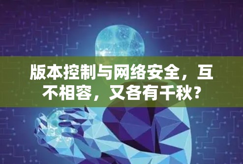 版本控制与网络安全,互不相容,又各有千秋? 版本控制与网络安全,互不相容,又各有千秋?