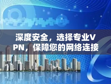 深度安全，选择专业VPN，保障您的网络连接