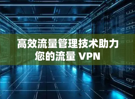 高效流量管理技术助力您的流量 VPN