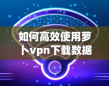 如何高效使用萝卜vpn下载数据？