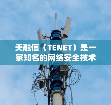 天融信（TENET）是一家知名的网络安全技术提供商，专注于提供安全的网络基础设施和解决方案，包括防火墙、VPN等。以下是关于天融信防火墙VPN的详细介绍