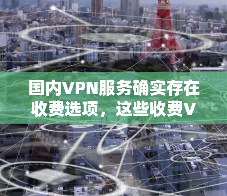 国内VPN服务确实存在收费选项，这些收费VPN通常是为了满足用户在特定时间、特定地点的需求，比如晚上、周末、深夜等。以下是几个国内常见的收费VPN服务