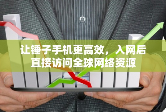 让锤子手机更高效，入网后直接访问全球网络资源