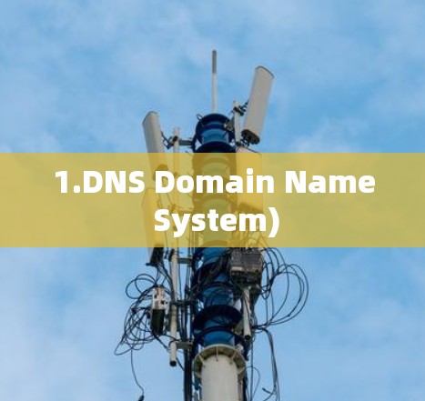 1.DNS Domain Name System)