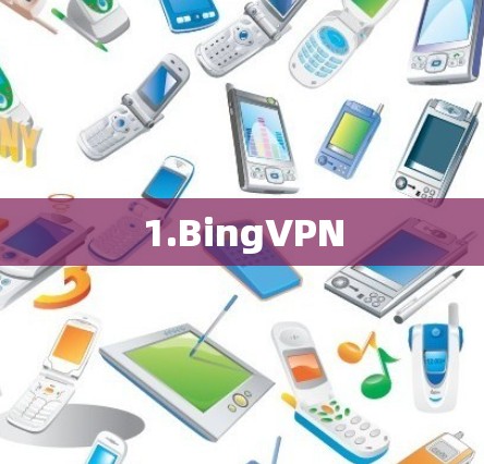 1.BingVPN 1.BingVPN
