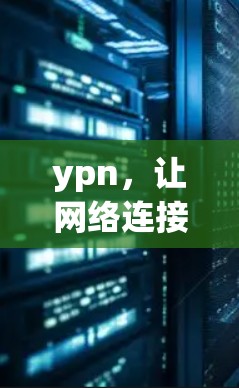 ypn，让网络连接更安全的未来