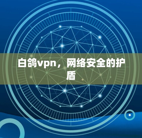 白鸽vpn，网络安全的护盾
