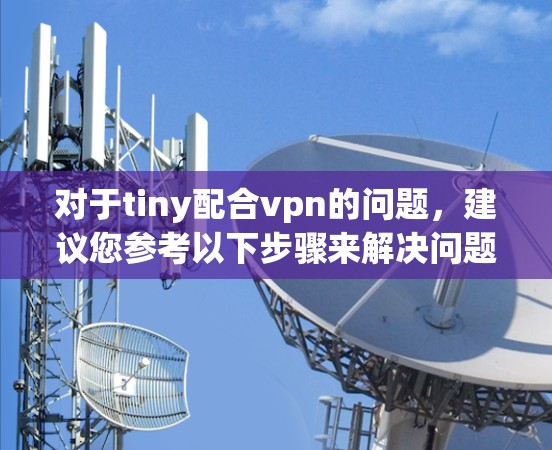 对于tiny配合vpn的问题，建议您参考以下步骤来解决问题