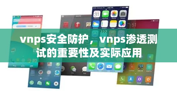 vnps安全防护，vnps渗透测试的重要性及实际应用