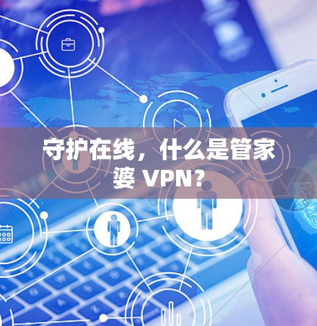 守护在线，什么是管家婆 VPN？