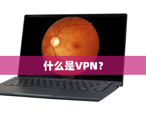 什么是VPN? 什么是VPN?
