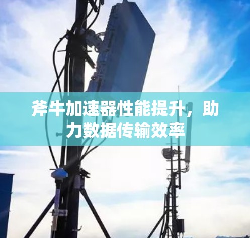 斧牛加速器性能提升,助力数据传输效率 斧牛加速器性能提升,助力数据传输效率