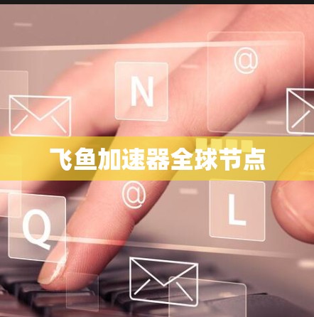 飞鱼加速器全球节点