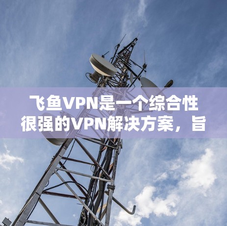 飞鱼VPN是一个综合性很强的VPN解决方案，旨在保护个人隐私和数据的安全。以下是对其使用体验的详细分析