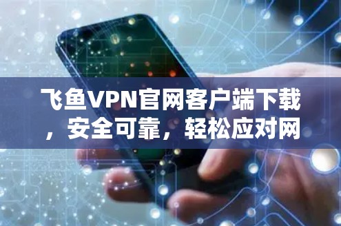 飞鱼VPN官网客户端下载，安全可靠，轻松应对网络威胁