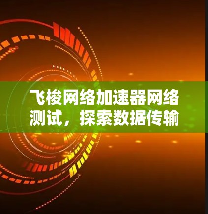 飞梭网络加速器网络测试,探索数据传输的未来 飞梭网络加速器网络测试,探索数据传输的未来