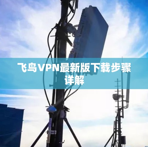 飞鸟VPN最新版下载步骤详解 飞鸟VPN最新版下载步骤详解