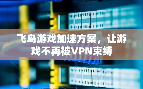 飞鸟游戏加速方案,让游戏不再被VPN束缚 飞鸟游戏加速方案,让游戏不再被VPN束缚