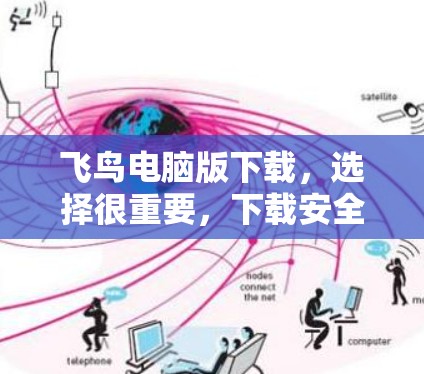 飞鸟电脑版下载，选择很重要，下载安全