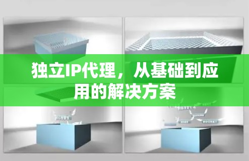 独立IP代理,从基础到应用的解决方案 独立IP代理,从基础到应用的解决方案