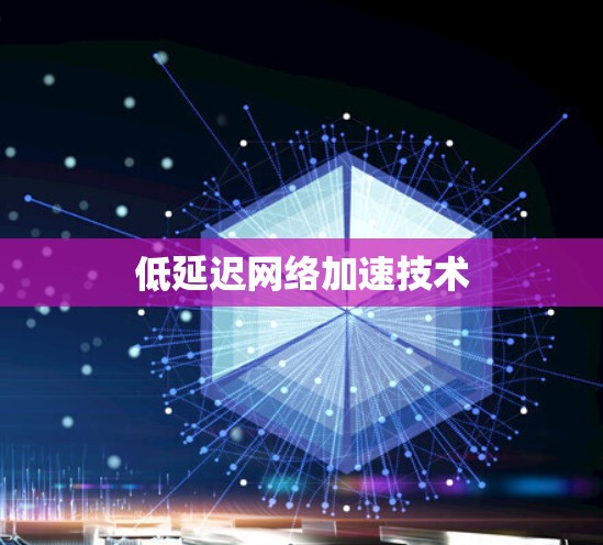 低延迟网络加速技术