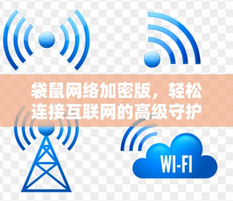 袋鼠网络加密版,轻松连接互联网的高级守护者 袋鼠网络加密版,轻松连接互联网的高级守护者