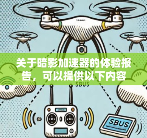 关于暗影加速器的体验报告，可以提供以下内容