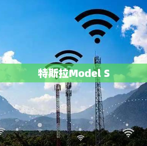 特斯拉Model S