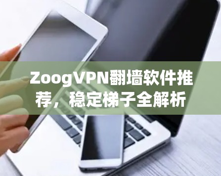 ZoogVPN翻墙软件推荐，稳定<strong>梯子</strong>全解析