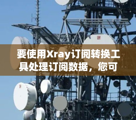 要使用Xray订阅转换工具处理订阅数据，您可以按照以下步骤进行