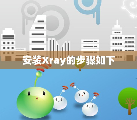 安装Xray的步骤如下 安装Xray的步骤如下