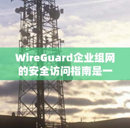 WireGuard企业组网的安全访问指南是一个复杂的系统，需要从多个角度进行设计和管理。以下是关于WireGuard企业组网安全访问的指南，涵盖权限管理、访问控制策略、审计记录以及安全策略等方面