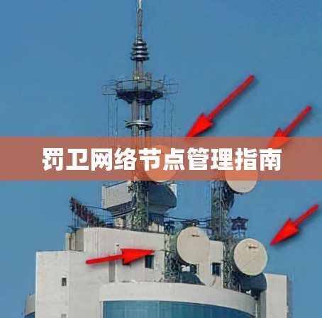 罚卫网络节点管理指南