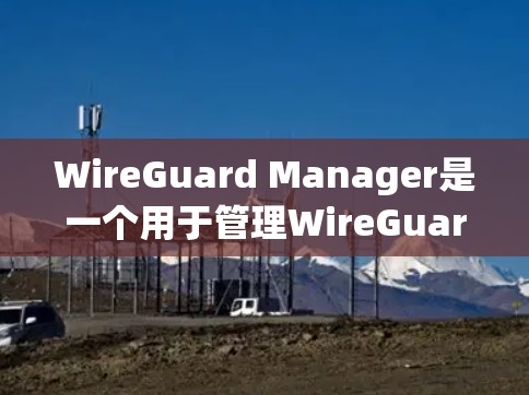 WireGuard Manager是一个用于管理WireGuard设备的工具,它支持设备扫描、监控、配置、连接和管理等功能。以下是对这个工具的详细说明 WireGuard Manager是一个用于管理WireGuard设备的工具,它支持设备扫描、监控、配置、连接和管理等功能。以下是对这个工具的详细说明