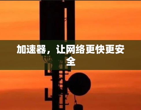 加速器，让网络更快更安全