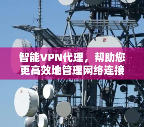 智能VPN代理，帮助您更高效地管理网络连接